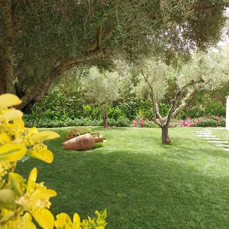 Paradise